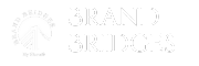 brandbridges.in